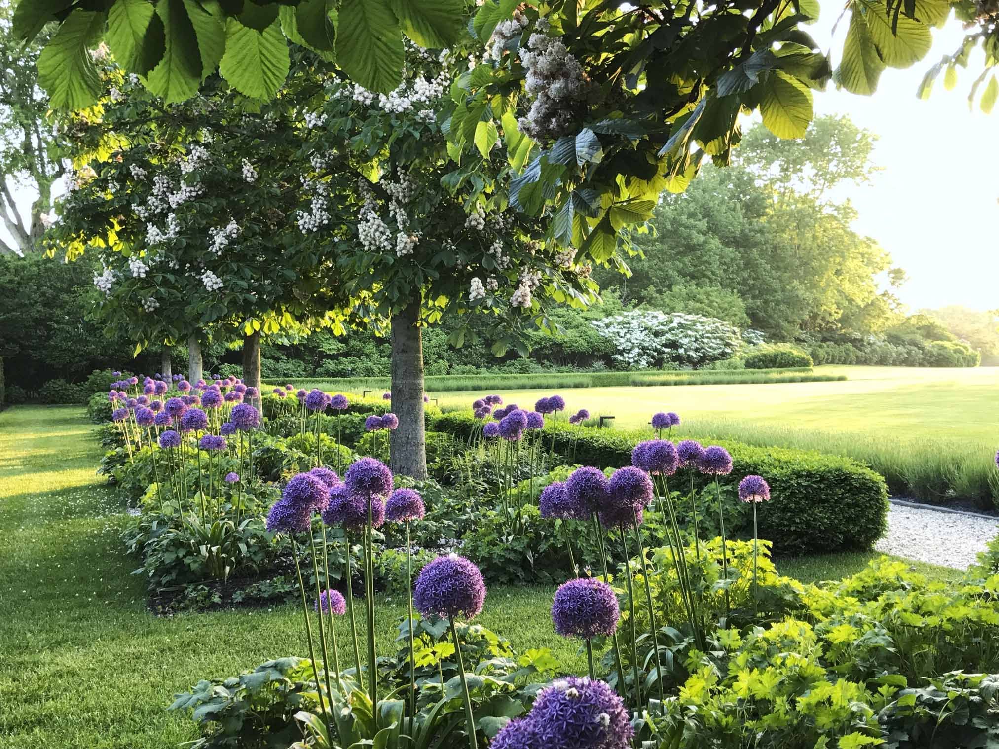 landscaping Victoria BC