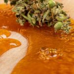 Exploring the Benefits of THCa Live Resin